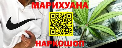 МДПВ Новозыбков