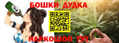 МДПВ Новозыбков