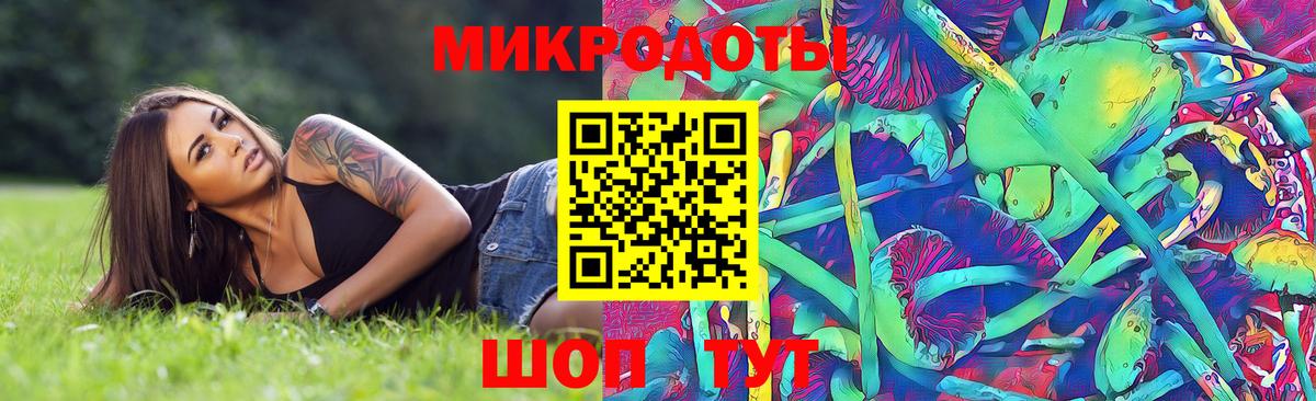 Псилоцибиновые грибы мухоморы  Галлюциногенные грибы прущие грибы  Сальск  Вход с VPN 
